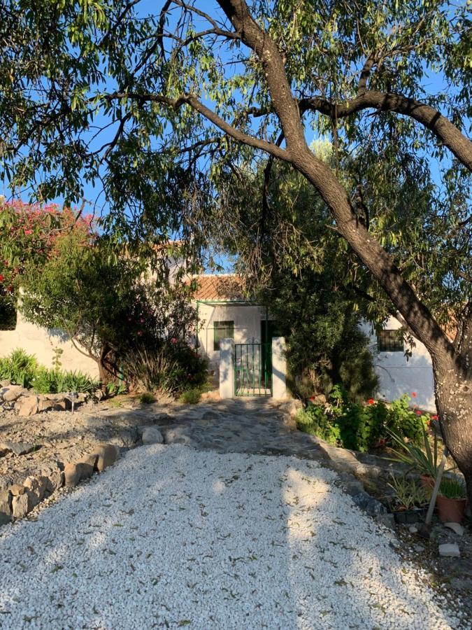 Casa Anita - La Almona Chica Pension El Chorro Buitenkant foto