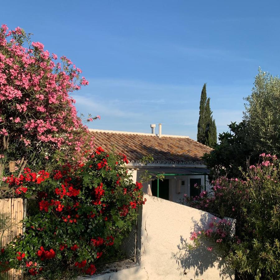 Casa Anita - La Almona Chica Pension El Chorro Buitenkant foto