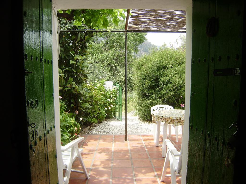 Casa Anita - La Almona Chica Pension El Chorro Kamer foto