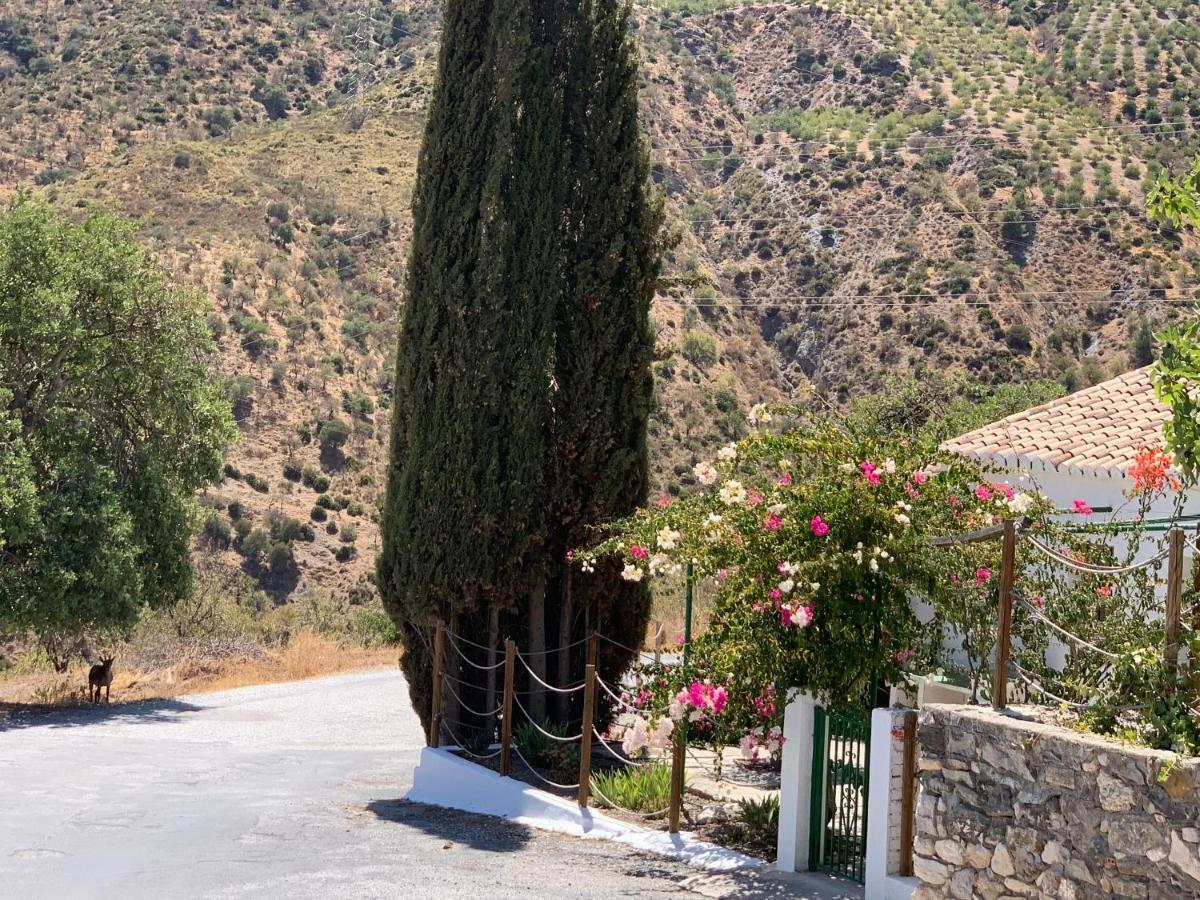 Casa Anita - La Almona Chica Pension El Chorro Buitenkant foto
